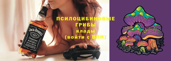 стаф Алексин