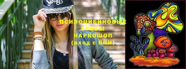 эйфоретик Алзамай