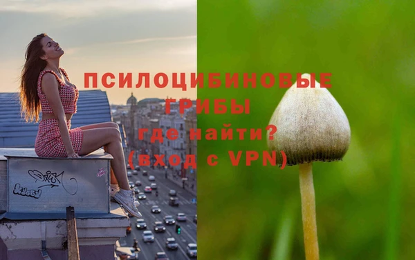 эйфоретик Алзамай