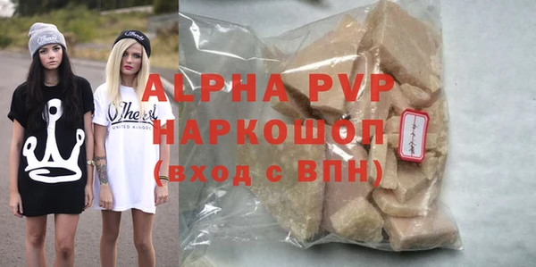 стаф Алексин