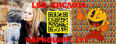 гидра Боровичи