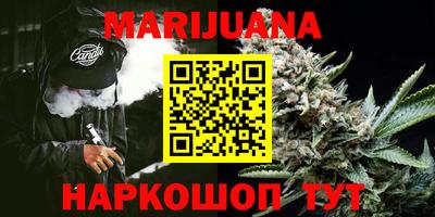 гидра Боровичи