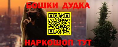 гидра Боровичи