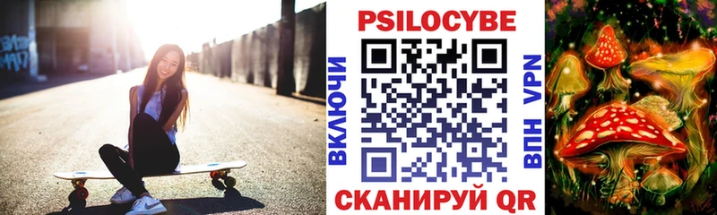 продажа наркотиков  Аргун  Псилоцибиновые грибы ЛСД 
